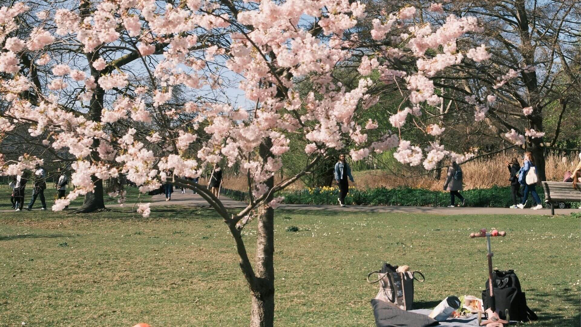 Monday Takeout Pre-Order Lunch