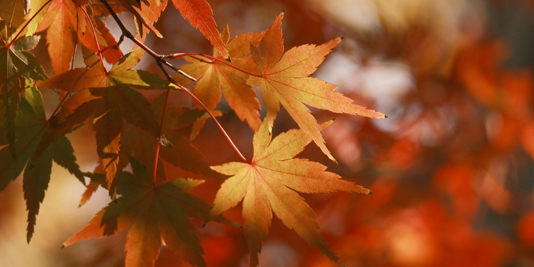 Fall Hours Starting October 1